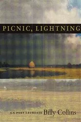 Book cover of Picnic, Lightning by Unknown