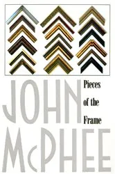 Book cover of Pieces of the Frame by Unknown