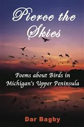 Book cover of Pierce the Skies by DAR BAGBY