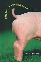 Book cover of Pig Boy's Wicked Bird by Unknown