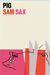 Book cover of Pig by James Villas