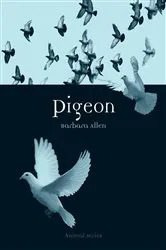 Book cover of Pigeon by Barbara Allen