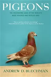 Book cover of Pigeons by Andrew D. Blechman
