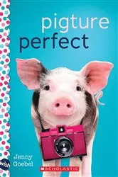 Book cover of Pigture Perfect: A Wish Novel by Jenny Goebel