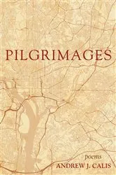 Book cover of Pilgrimages by Maria N. Ng