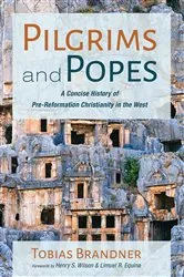 Book cover of Pilgrims and Popes by Tobias Brandner