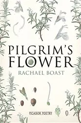 Book cover of Pilgrim's Flower by Unknown