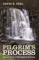 Book cover of Pilgrim’s Process by Unknown