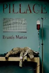 Book cover of Pillage by Unknown