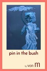 Book cover of pin in the bush by Curt von Mueller
