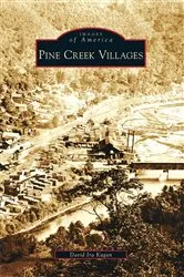 Book cover of Pine Creek Villages by David Ira Kagan