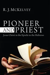 Book cover of Pioneer and Priest by R. J. McKelvey