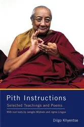 Book cover of Pith Instructions by Dilgo Khyentse