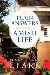 Book cover of Plain Answers About the Amish Life by Mindy Starns Clark