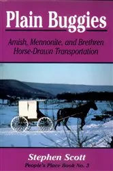 Book cover of Plain Buggies by Stephen Scott