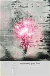 Book cover of Planetary Noise by Erin Moure