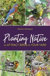 Book cover of Planting Native to Attract Birds to Your Yard by Sharon Sorenson