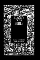 Book cover of Plants Of The Bible by Harold N. Moldenke