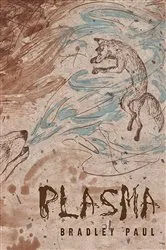 Book cover of Plasma by Bradley Paul