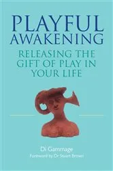Book cover of Playful Awakening by Dianne Gammage
