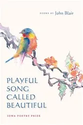 Book cover of Playful Song Called Beautiful by John Blair