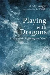 Book cover of Playing with Dragons by Andy Angel