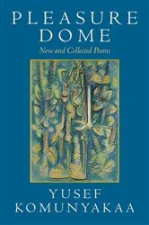 Book cover of Pleasure Dome by Yusef Komunyakaa