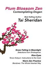 Book cover of Plum Blossom Zen by Tai Sheridan