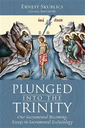 Book cover of Plunged into the Trinity by Ernest Skublics