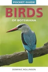 Book cover of Pocket Guide Birds of Botswana by Dominic Rollinson