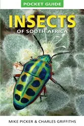 Book cover of Pocket Guide to Insects of South Africa by Mike Picker