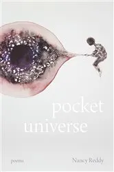 Book cover of Pocket Universe by Nancy Reddy