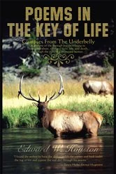 Book cover of Poems in the Key of Life by Edward W. Houston