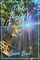 Book cover of Poetic Insights by Laura Buck