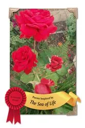 Book cover of Poetry Inspired by the Sea of Life by Imogene Mendez