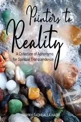 Book cover of Pointers to Reality by Shaykh Fadhlalla Haeri