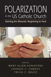 Book cover of Polarization in the US Catholic Church by Mary Ellen Konieczny