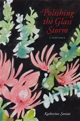 Book cover of Polishing the Glass Storm by Katherine Soniat