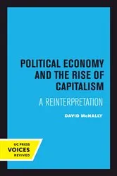 Book cover of Political Economy and the Rise of Capitalism by David McNally