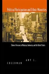 Book cover of Political Participation and Ethnic Minorities by Amy L. Freedman