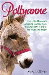 Book cover of Pollyanne by Sarah Oliver