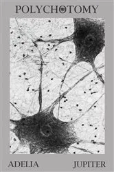 Book cover of Polychotomy by Adelia Jupiter