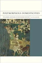 Book cover of Polymorphous Domesticities by Juliana Schiesari