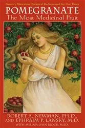 Book cover of Pomegranate by Damien Stone