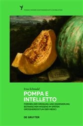 Book cover of Pompa e intelletto by Irina Schmiedel