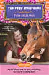 Book cover of Pony Whisperer: Team Challenge by Janet Rising