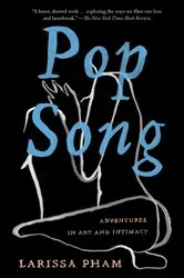 Book cover of Pop Song by Larissa Pham