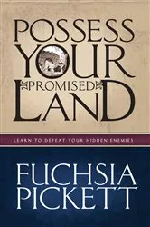 Book cover of Possessing Your Promised Land by Fuchsia Pickett