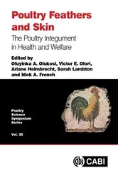 Book cover of Poultry Feathers and Skin by Oluyinka A Olukosi
