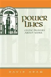Book cover of Power Lines by Jennifer L. Lieberman